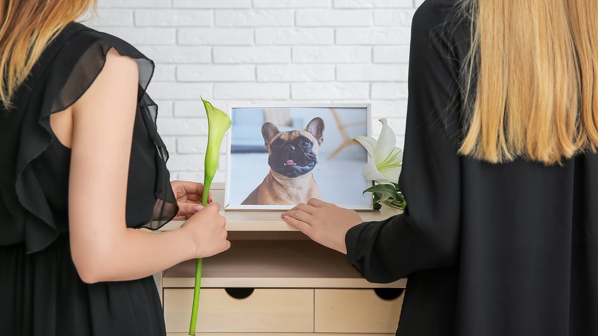 The True Meaning of R.I.P.: Beyond Just a Tombstone Phrase